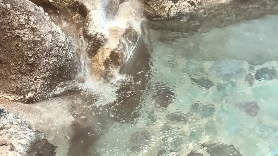 Umegashima Konya Onsen Ohnogi Inn