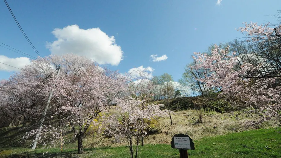 Ryokan Shiobetsu Tsurutsuru Onsen