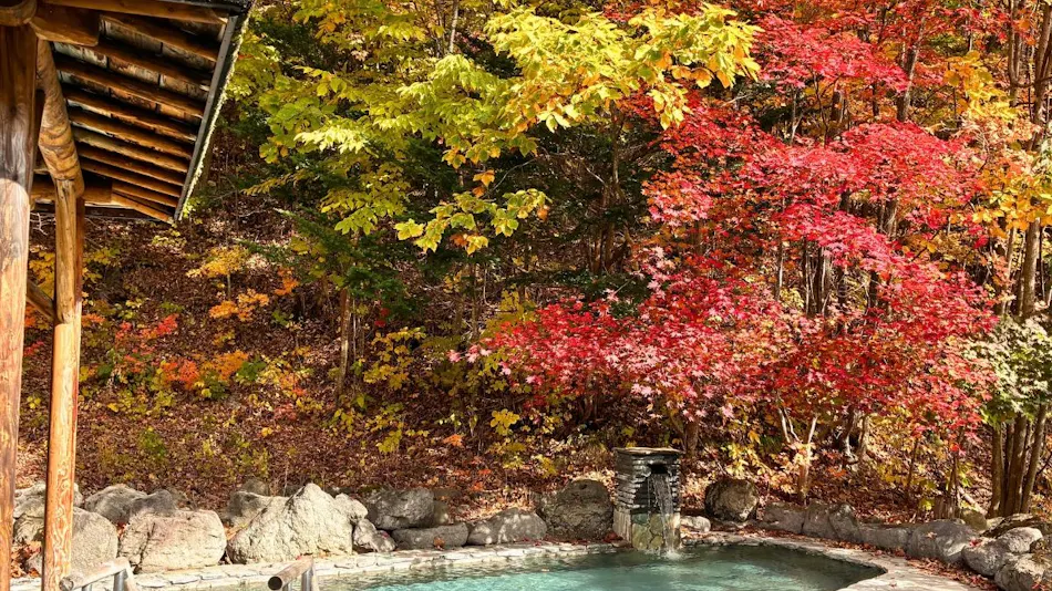 Ryokan Shiobetsu Tsurutsuru Onsen