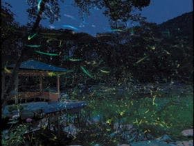 国民宿舎伊豆熱川荘