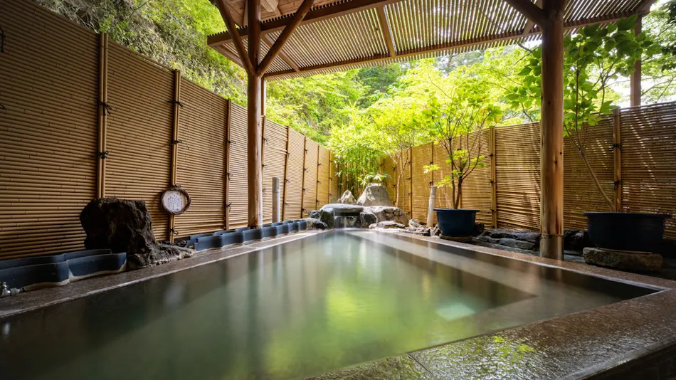 Fukinoyu Ryokan