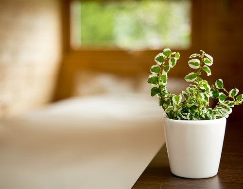 ・＜客室一例（セミダブルとロフト）＞