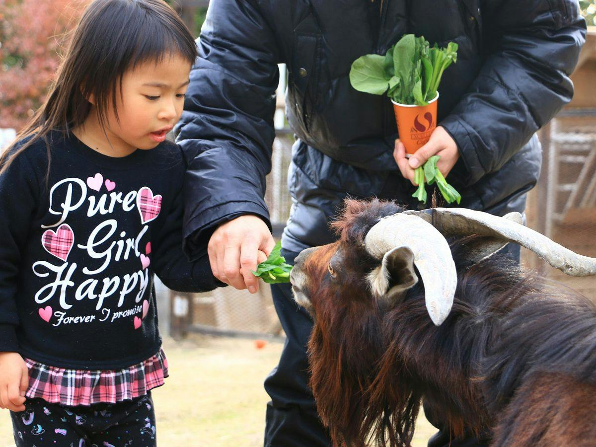 Okayama Ikoi no Mura