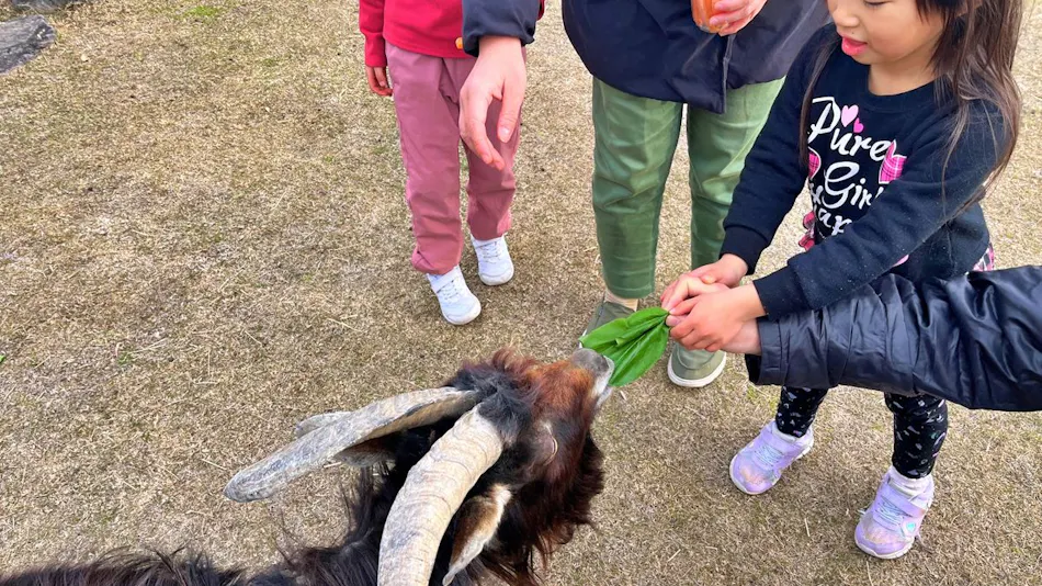 Okayama Ikoi no Mura
