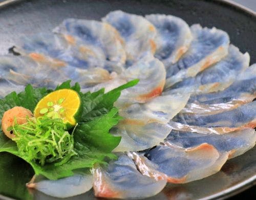 【贅沢コース一例】天然の真鯛の薄造り