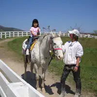 สัมผัสประสบการณ์ขี่ม้าที่ฮิรุเซ็นฮอร์สพาร์ค