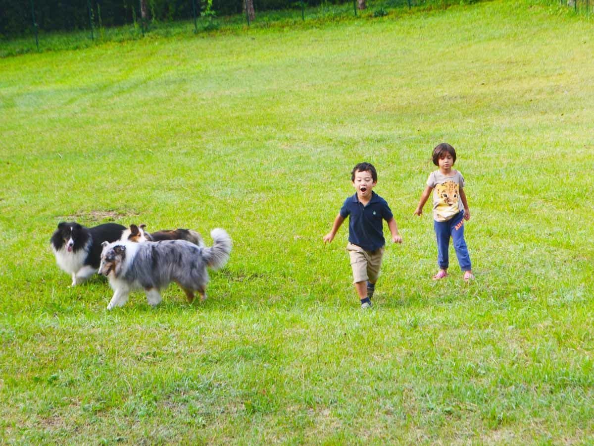 Okayama Hiruzen Cottage Peter Pan