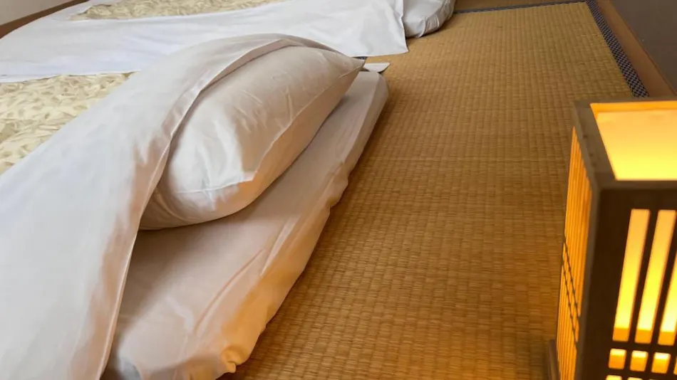 DOMO HOTEL OZU