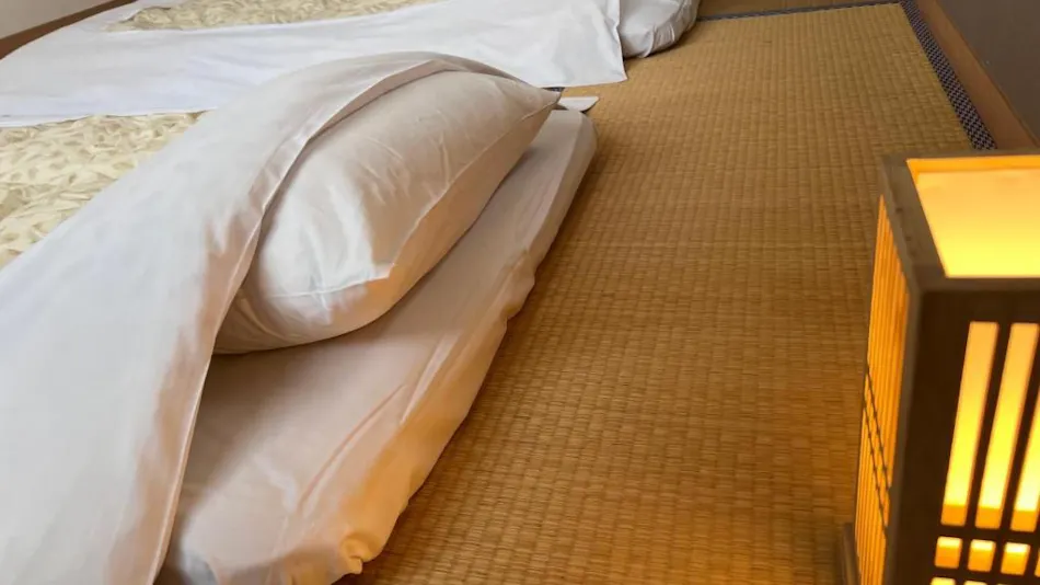 DOMO HOTEL OZU