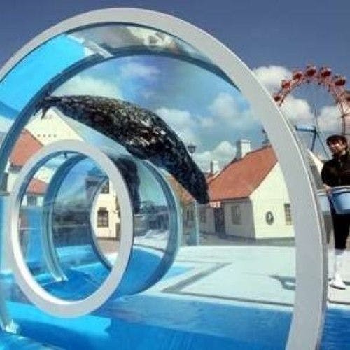 【Marin Park Nix】