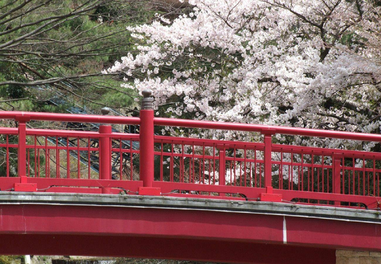 Arima Onsen Maple Arima