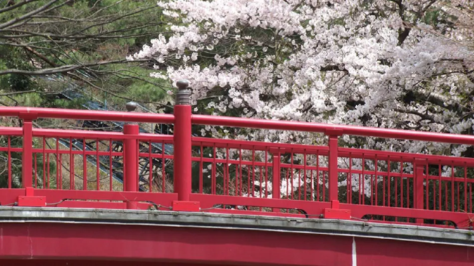 Arima Onsen Maple Arima