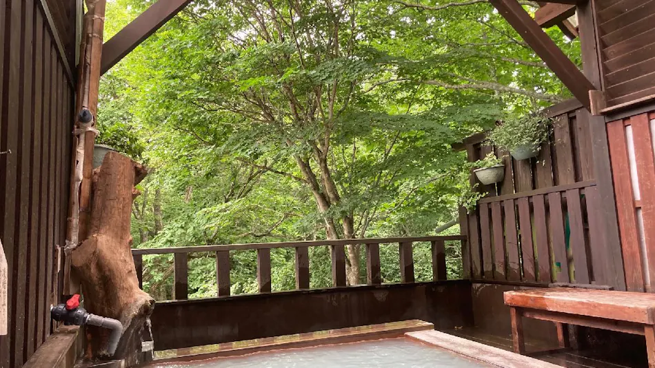Shinyu Onsen Kurikoma-so
