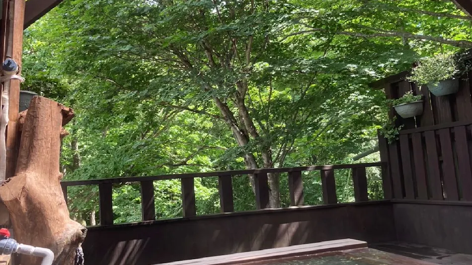 Shinyu Onsen Kurikoma-so