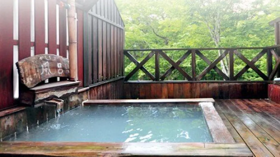 Shinyu Onsen Kurikoma-so