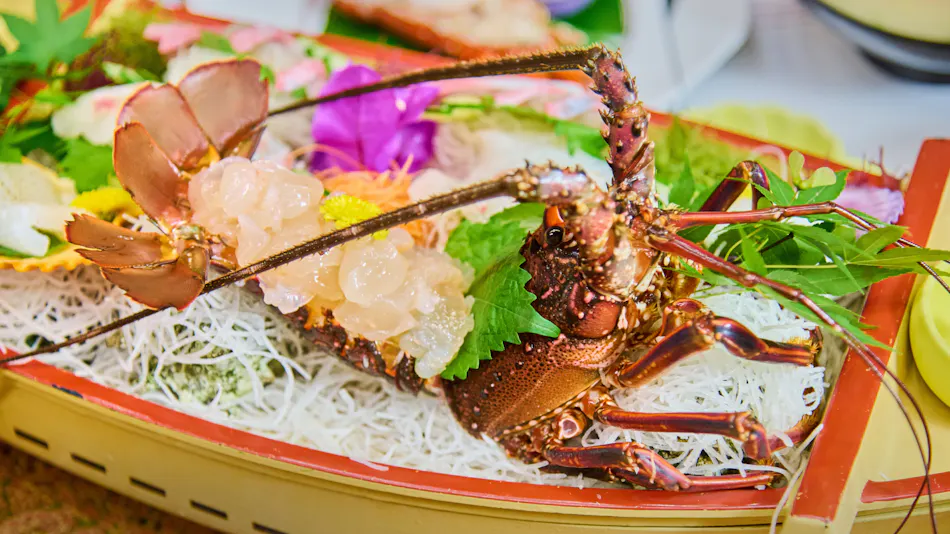 Yumoto no Sho Yume Hotaru