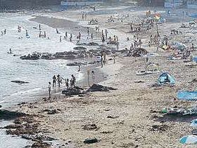 温泉民宿　わたや