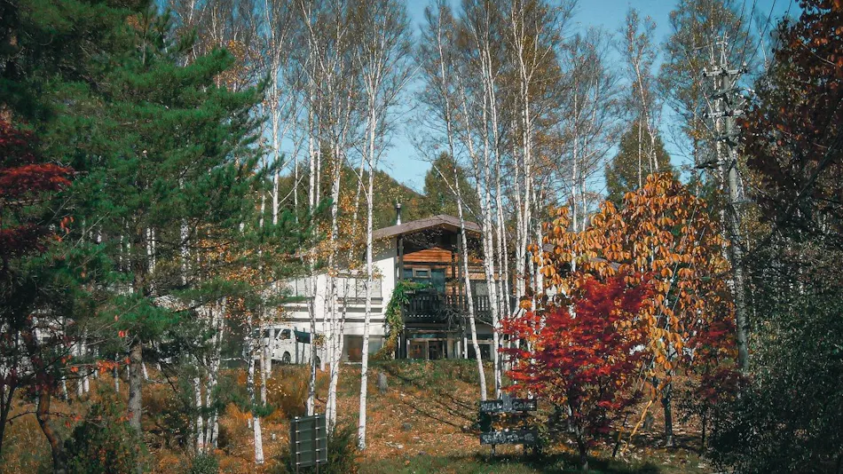 Onsen Lodge Watari