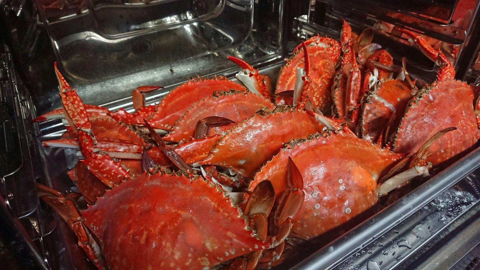 Irago Cape Local Fish Inn Takanoya