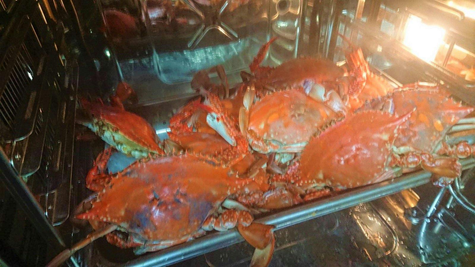 Irago Cape Local Fish Inn Takanoya