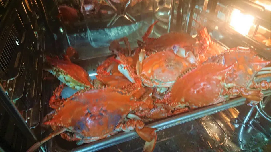 Irago Cape Local Fish Inn Takanoya