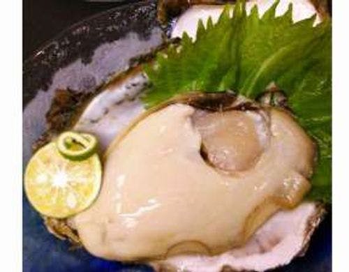 伊良湖岬の岩ガキ又は日出の石門岩牡蠣