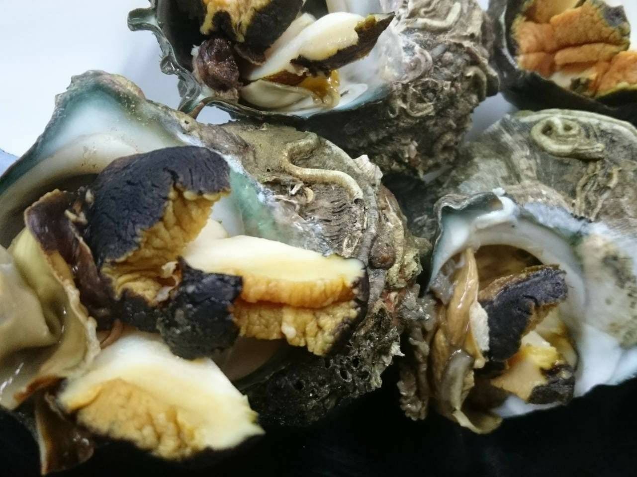 หอยสังข์สดย่างในเปลือก