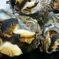 หอยสังข์สดย่างในเปลือก