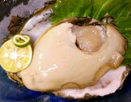 日出の石門岩ガキ