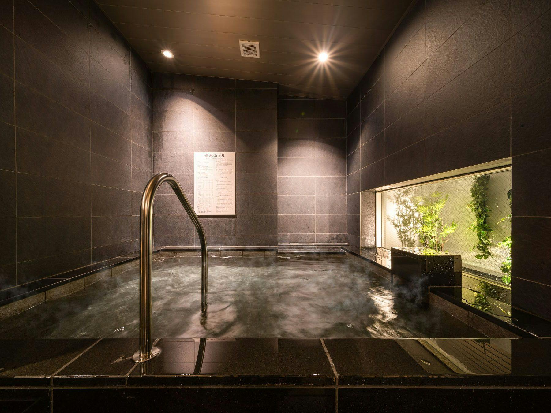 Natural Hot Spring Houraisan no Yu Super Hotel Echizen Takefu