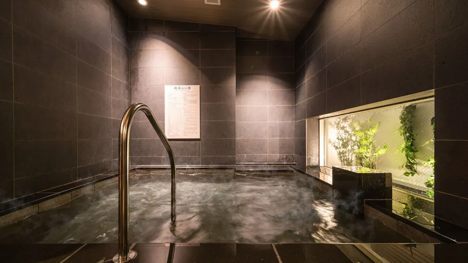 Natural Hot Spring Houraisan no Yu Super Hotel Echizen Takefu