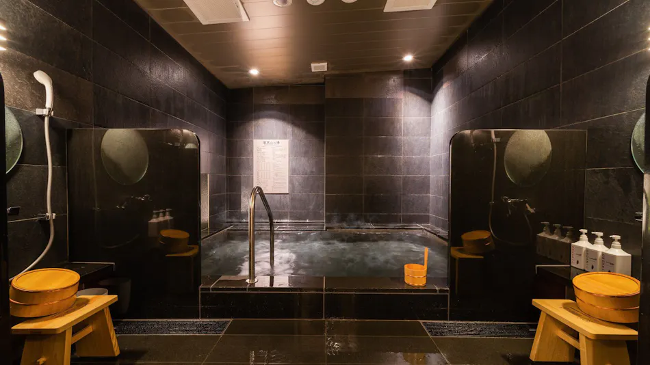 Natural Hot Spring Houraisan no Yu Super Hotel Echizen Takefu