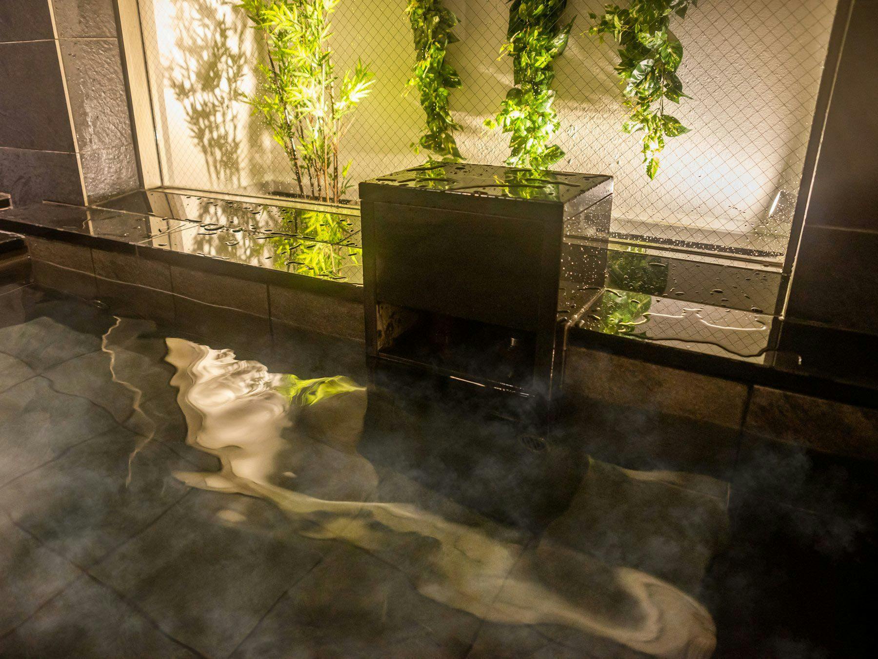 Natural Hot Spring Houraisan no Yu Super Hotel Echizen Takefu