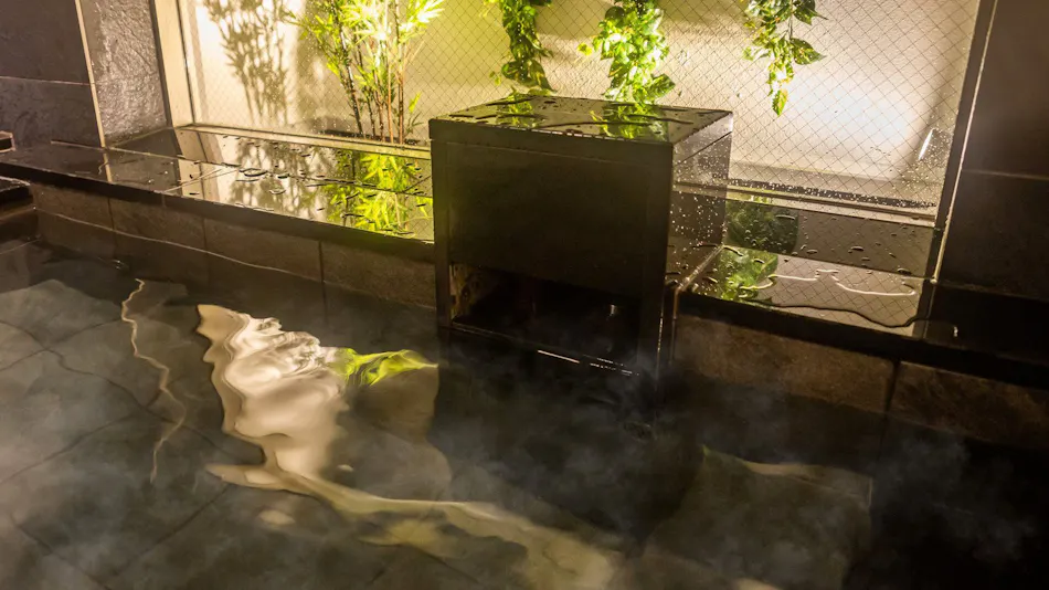 Natural Hot Spring Houraisan no Yu Super Hotel Echizen Takefu