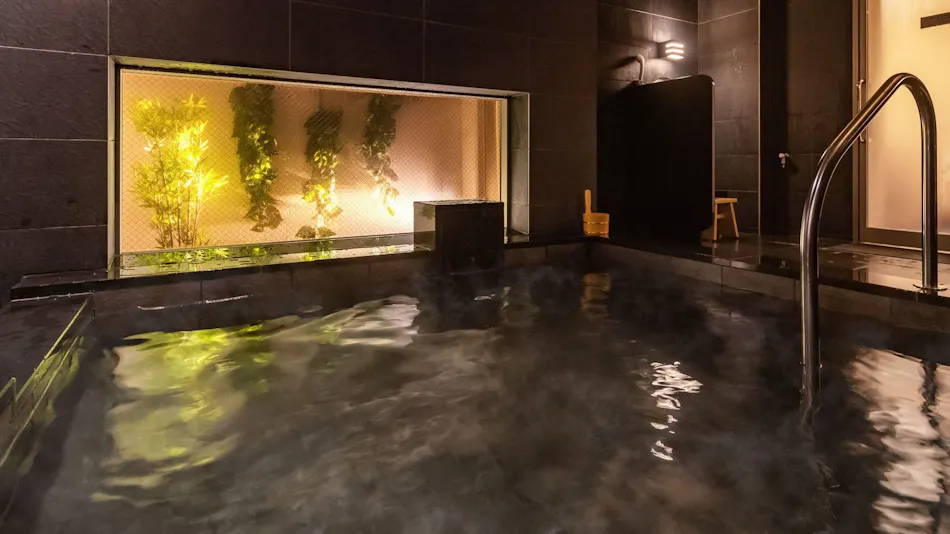 Natural Hot Spring Houraisan no Yu Super Hotel Echizen Takefu