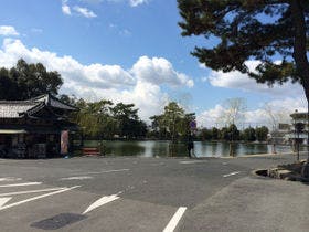 観光ホテル　タマル