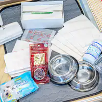 Trailer House "Pet Amenities"