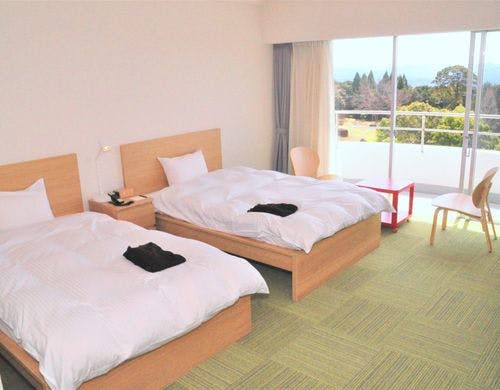 【モデレートツイン】