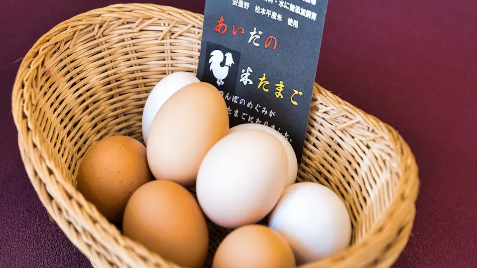 Hotel Grand Jam Tsugaike