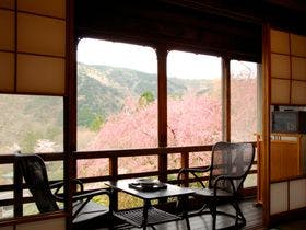 箱根小涌谷温泉 三河屋旅館