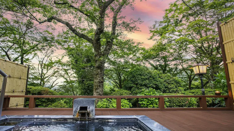箱根小涌園 三河屋旅館 の宿泊プラン 予約 Yahoo トラベル 箱根小涌園 三河屋旅館 の宿泊プラン 予約 Yahoo トラベル