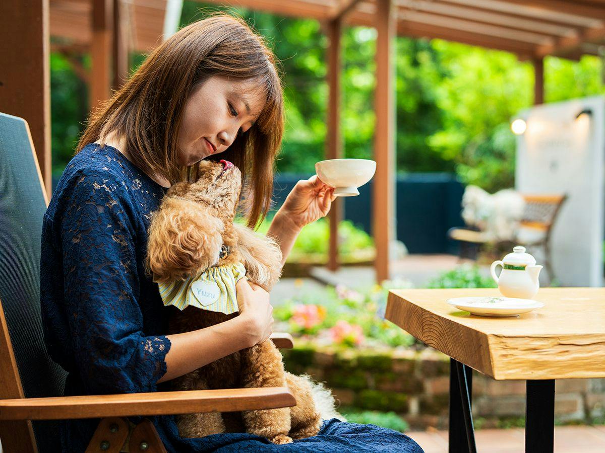 BEPPU DOG RESORT HILLS & BAY