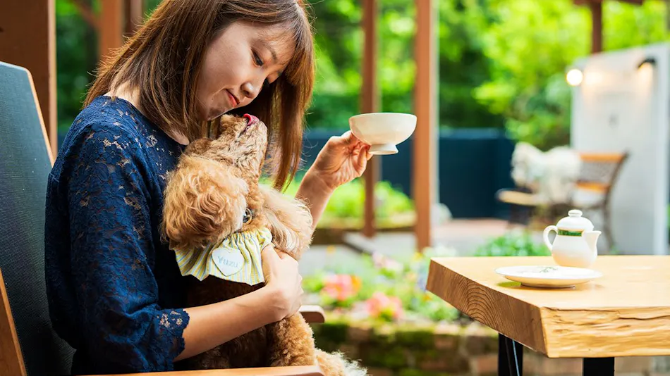 BEPPU DOG RESORT HILLS & BAY