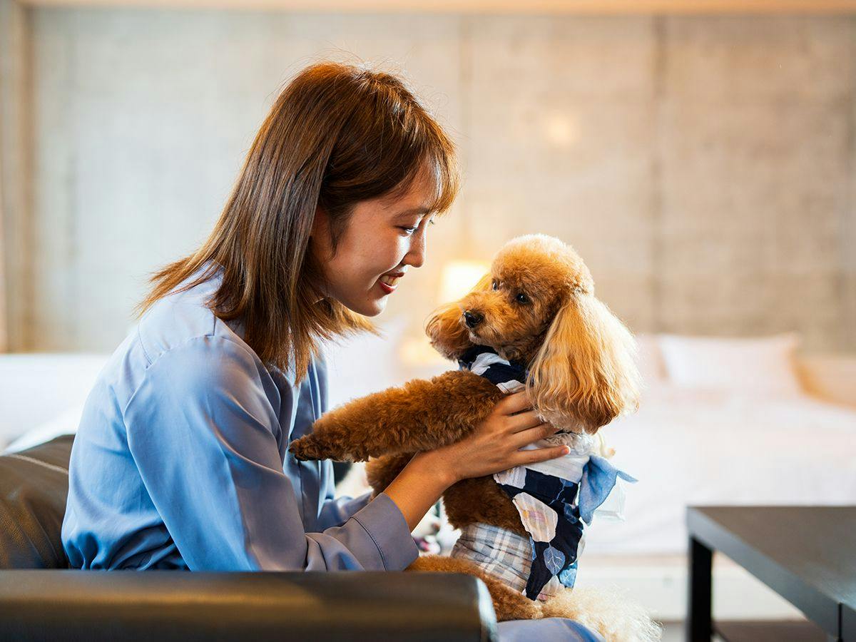 BEPPU DOG RESORT HILLS & BAY