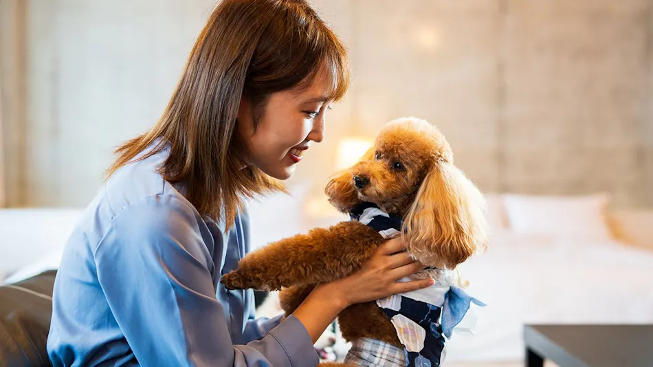BEPPU DOG RESORT HILLS & BAY