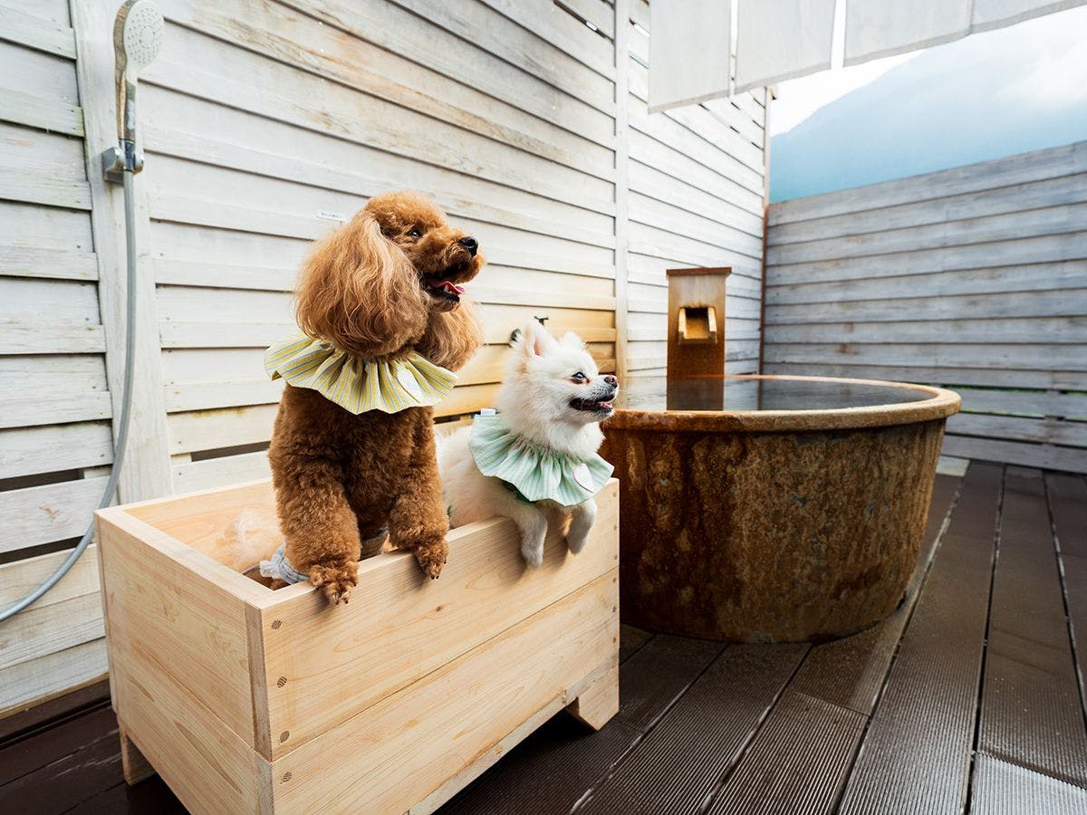 BEPPU DOG RESORT HILLS & BAY