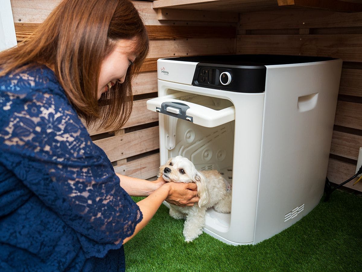BEPPU DOG RESORT HILLS & BAY