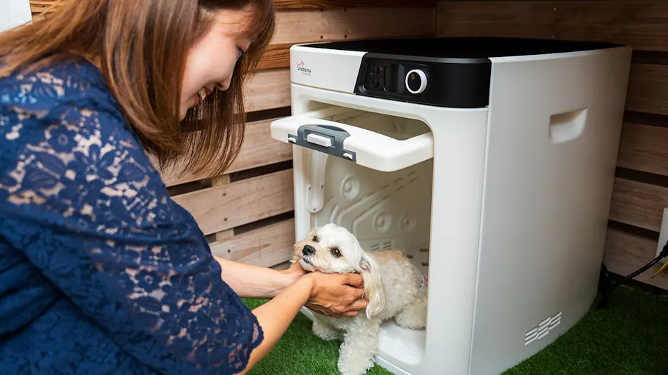BEPPU DOG RESORT HILLS & BAY