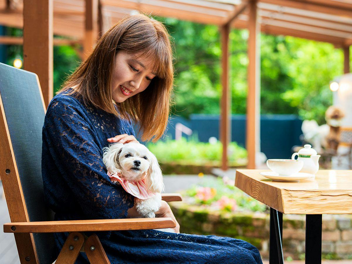 BEPPU DOG RESORT HILLS & BAY