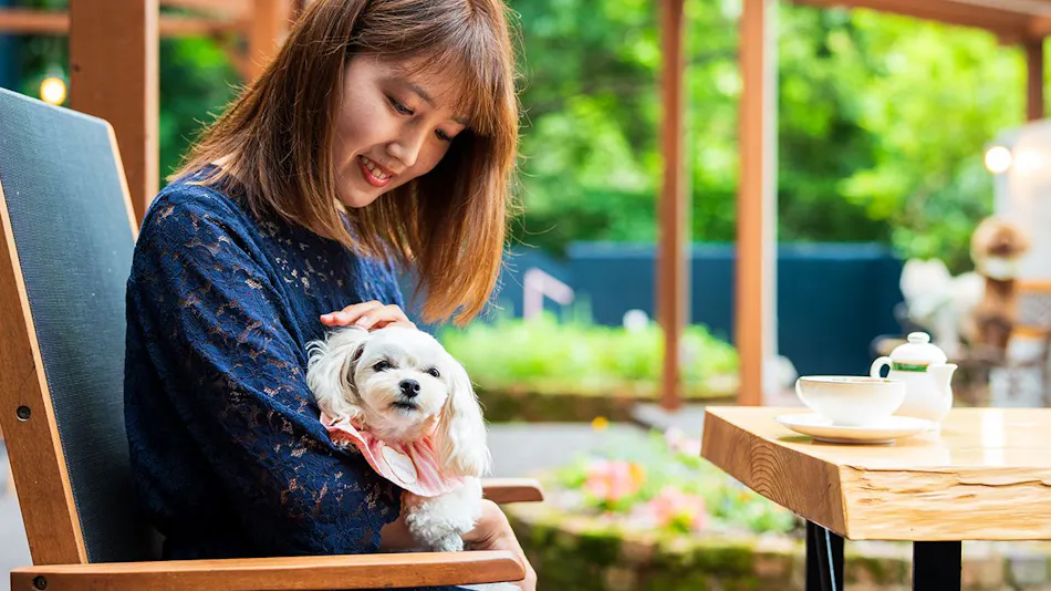 BEPPU DOG RESORT HILLS & BAY